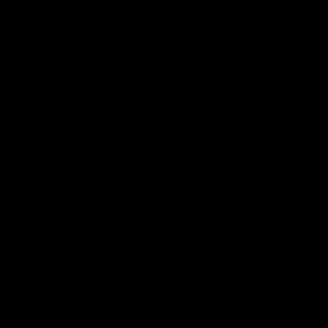 Meet your Posher, Adrian